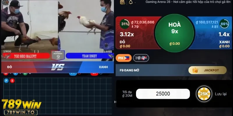 Người thắng cược nhận về một khoản thưởng hậu hĩnh